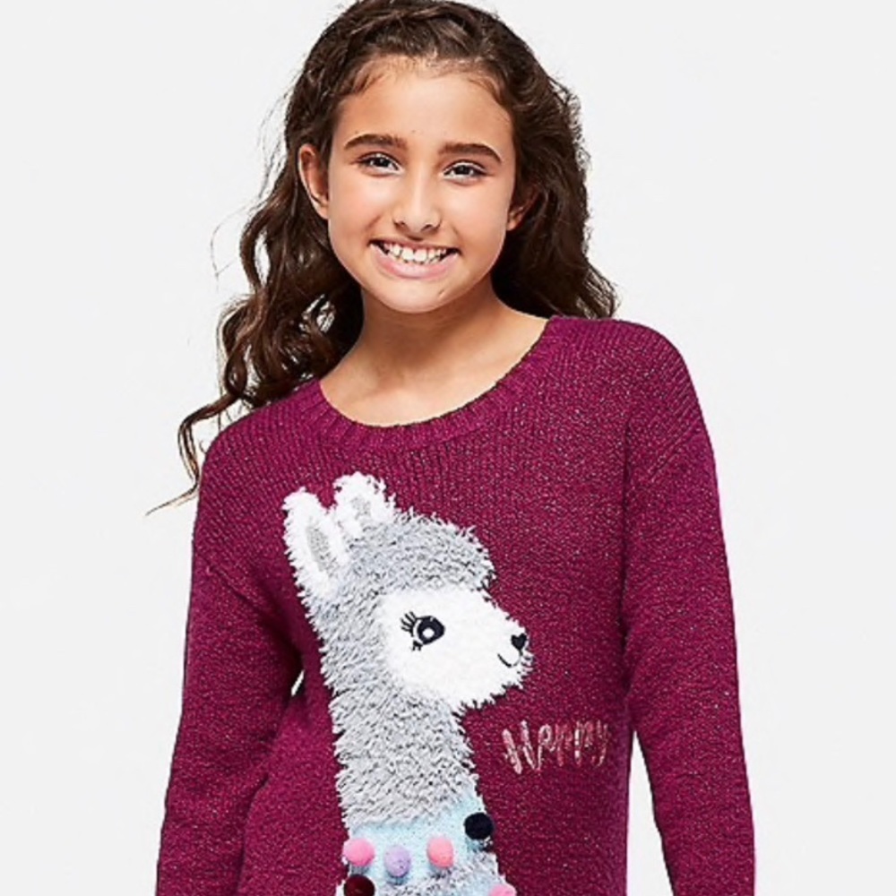 Cute llama Sweater